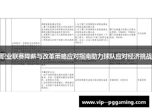 职业联赛降薪与改革策略应对指南助力球队应对经济挑战