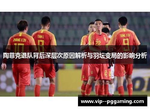 陶菲克退队背后深层次原因解析与羽坛变局的影响分析