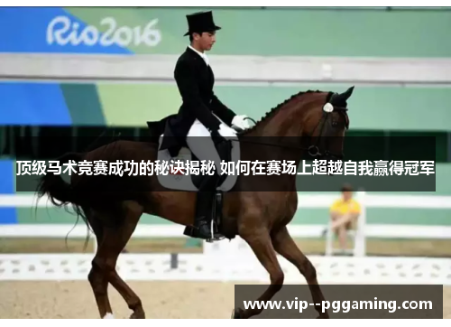 顶级马术竞赛成功的秘诀揭秘 如何在赛场上超越自我赢得冠军