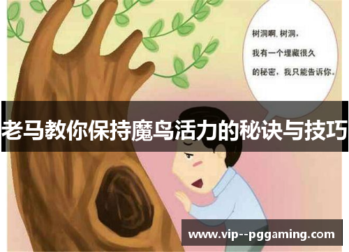 老马教你保持魔鸟活力的秘诀与技巧