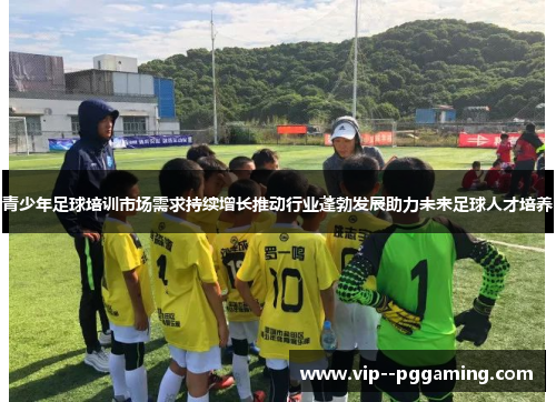 青少年足球培训市场需求持续增长推动行业蓬勃发展助力未来足球人才培养
